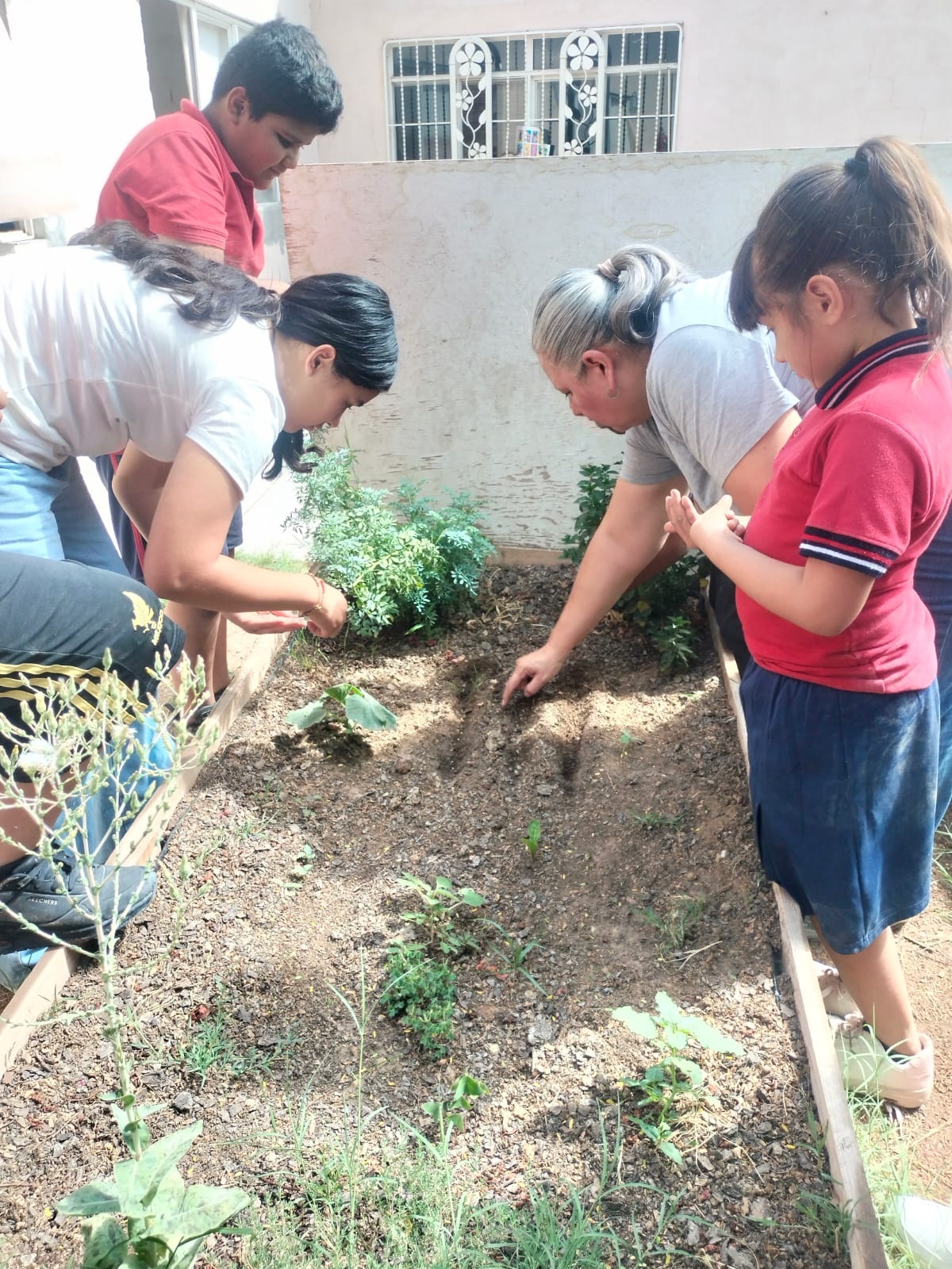 Grupo reunido alrededor del huerto durante una visita comunitaria