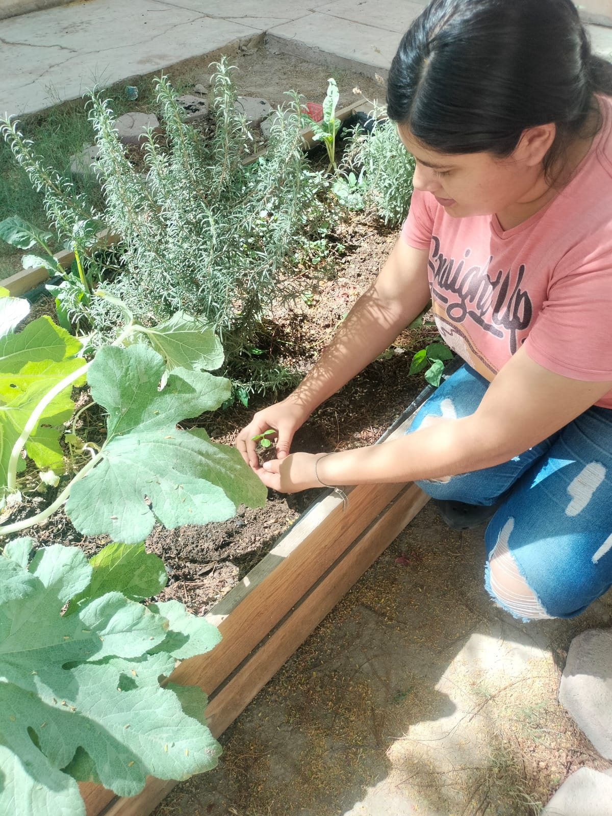 Manos sosteniendo una plántula lista para sembrar